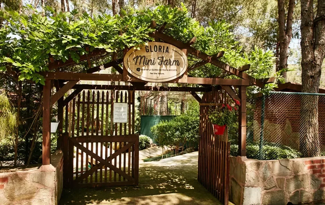 Gloria mini farm