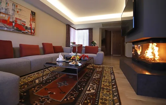 Living room 3 mtime20220601121351